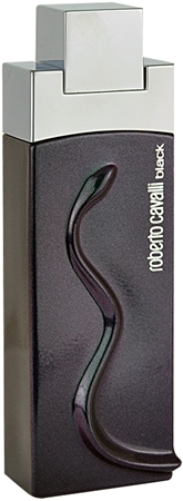 Roberto Cavalli Black Eau de Toilette Herren 100 ml